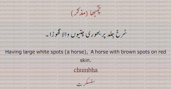 brown spot hourse ،چمبھا، سرخ جلد پر بھوری چتیوں والا گھوڑا۔