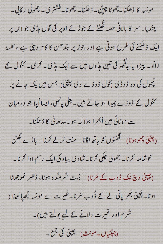 چپنی۔ گھڑے کا ڈھکن۔ سر کا بالائی حصہ۔ گھٹنے کے جوڑ کی ہڈی۔ کلسۂ زانو۔ پیڑو یا جانگھ کی تین ہڈیوں میں سے ایک ہڈی۔ کری۔ کنول کے پھول کی ڈوڈی کول ڈوڈے کی چپنی۔ پتلی پاتھی جو درمیان سے ابھری نہ ہو۔ مدھانی کا ڈھکنا۔گھٹنوں کا ہاتھ لگانا۔ منت تلے۔ شادی کی رسم۔ جھولی چکی ۔ خوشامد کرنا۔ ہاڑے کھتن۔ دھیر نمو جھانا۔ چپنی چھو ہونا۔ چپنی وچ نک ڈوب کے مرنا۔ چپنیاں۔
