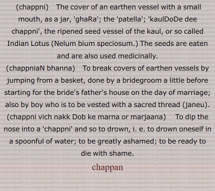 lid or cover of a pot,chappna, chapna, ਚਪਣਾ,chappni,ਚਪੱਣੀ ،ਚਪੱਣ,The cover of an earthen vessel (made likewise of earth.), Dim. of Chappan. The cover of an earthen vessel with a small mouth, as a jar, ghara; the patella;—chappniaN bhanna, To break covers of earthen vessels by jumping from a basket, done by a bridegroom a little before starting for the bride's father's house on the day of marriage; also by boy who is to be vested with a sacred thread (janeu):—chappni vich nakk dob ke marna or marjana,   To dip the nose into a chappni and so to drown, i. e. to drown oneself in a spoonful of water; to be greatly ashamed; to be ready to die with shame:—kauldode di chappni,   The ripened seed vessel of the kaul, or so called Indian Lotus (Nelum bium speciosum.) The seeds are eaten and are also used medicinally.