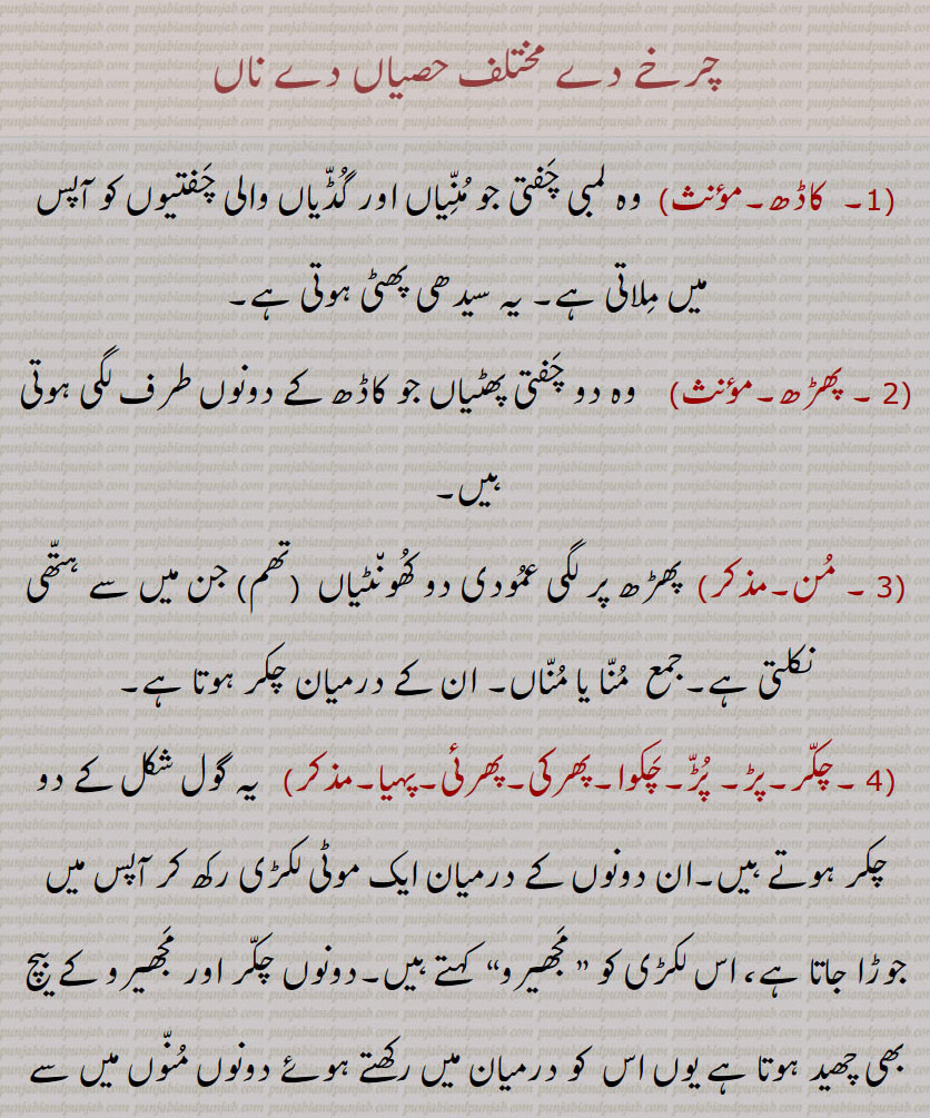 چرخے دے مختلف حصیاں دے ناں, کاڈھ, وہ لمبی چفتی جو منّیاں اور گڈیاں والی چفتیوں کو آپس میں ملاتی ہے, یہ سیدھی پھٹی ہوتی ہے, پھڑھ,وہ دو چفتی پھٹیاں جو کاڈھ کے دونوں طرف لگی ہوتی ہیں, من, پھڑھ پر لگی عمودی دو کھونٹیاں  (تھم) جن میں سے ہتھی نکلتی ہے,جمع  منا یا مناں, ان کے درمیان چکر ہوتا ہے,چکر,پڑ, پڑ,چکوا,پھرکی,پھرئی,پہیا,  یہ گول شکل کے دو چکر ہوتے ہیں,ان دونوں کے درمیان ایک موٹی لکڑی رکھ کر آپس میں جوڑا جاتا ہے، اس لکڑی کو ” مجھیرو“  کہتے ہیں,دونوں چکر اور مجھیرو کے بیچ بھی چھید ہوتا ہے یوں اس  کو درمیان میں رکھتے ہوئے دونوں منوں میں سے چار سوت موٹا سریا (لٹھ) گزرتا ہے,