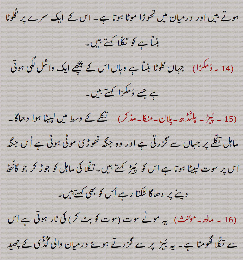درمیان میں تھوڑا موٹا ہوتا ہے, اس کے  ایک سرے پر گلوٹا بنتا ہے کو تکلا  کہتے ہیں,دمکڑا, جہاں گلوٹا بنتا ہے وہاں اس کے پیچھے ایک واشل لگی ہوتی ہے جسے دمکڑا  کہتے ہیں, پیڑ, پلنڈھ,پلان,منکا, تکلے کے وسط میں لپیٹا ہوا دھاگا, ماہل تکلے پر جہاں سے گزرتی ہے اور وہ جگہ تھوڑی موٹی ہوتی ہے اس جگہ اس پر سوت لپیٹا ہوتا ہے اس کو  پیڑ  کہتے ہیں,تکلا کی ماہل کو جوڑ کر جو گانٹھ دینے پر دھاگا لٹکتا رہے اس کو بھی کہتےہیں, مالھ, یہ موٹے سوت (سوت کو بٹ کر) کی تار ہوتی ہے اس سے تکلا گھومتا ہے, یہ بیڑ  پر سے گزرتے ہوئے درمیان والی گڈی کے چھید سے گزر کر  پیڑ  کی مدد سے  تکلے کو گھماتی ہے