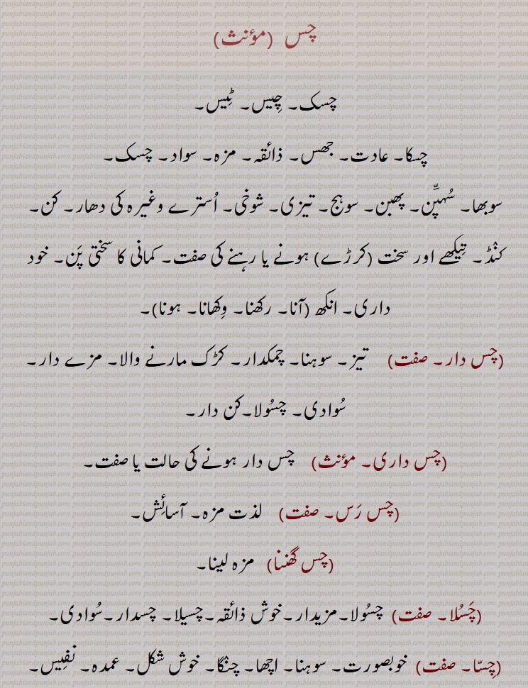 چس ,چسک, چیس, ٹیس,چسکا, عادت, جھس, ذائقہ, مزہ, سواد, چسک,سوبھا, سہپن, پھبن, سوہج, تیزی, شوخی, استرے وغیرہ کی دھار, کن, کنڈ, تیکھے اور سخت (کرڑے) ہونے یا رہنے کی صفت, کمانی کا سختی پن, خود داری, انکھ (آنا, رکھنا, وکھانا, ہونا),چس دار,  تیز, سوہنا, چمکدار, کڑک مارنے والا, مزے دار, سوادی, چسولا,کن دار,چس داری, جس دار ہونے کی حالت یا صفت,چس رس, لذت مزہ, آسائش,چس گھننا,مزہ لینا,چسلا, چسولا,مزیدار,خوش ذائقہ,چسیلا, چسدار,سوادی,چسا, چسا, پل کا تیسرا حصّہ, پندرا وگھیوں کا ایک چسا ہوتا ہے,چسا,خوبصورت, سوہنا, اچھا, چنگا, خوش شکل, عمدہ, نفیس,