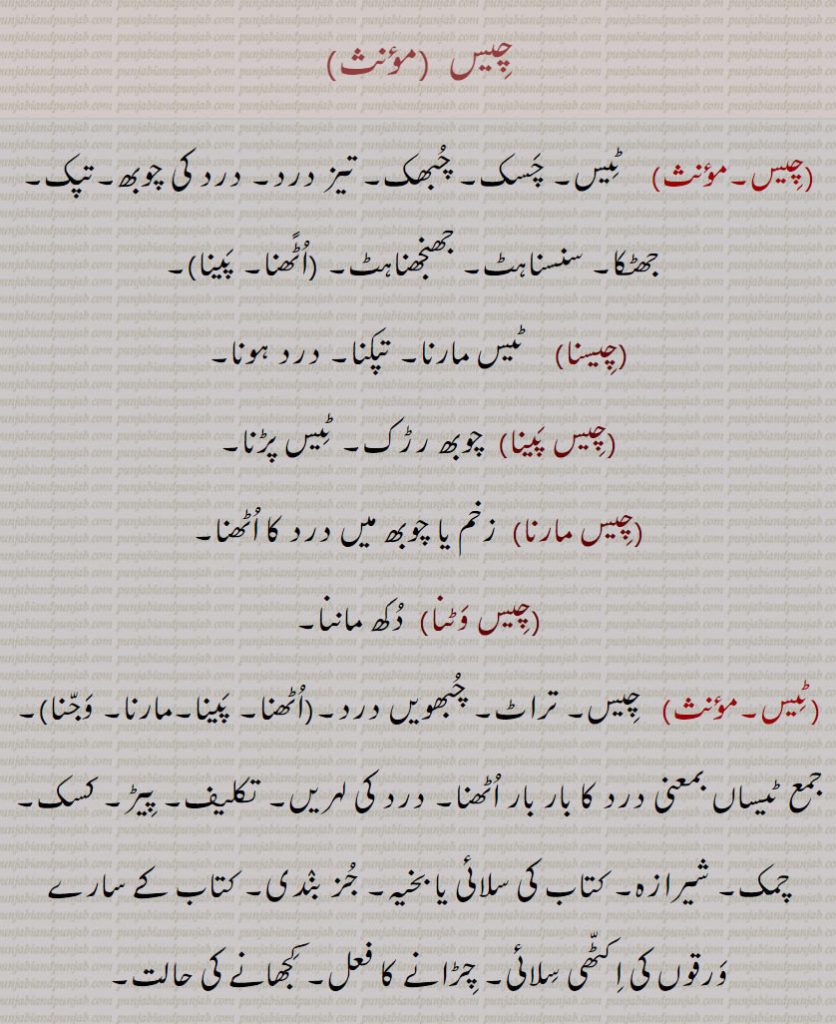 chees, Tees,چیس,ٹیس, چسک, چبھک, تیز درد, درد کی چوبھ,تپک,جھٹکا, سنسناہٹ,ਚੀਸ جھنجھناہٹ,چیس  اٹًھنا, چیس پینا ,چیسنا,ٹیس مارنا, تپکنا, درد ہونا,چیس پینا, چوبھ رڑک, ٹیس پڑنا,چیس مارنا ,زخم یا چوبھ میں درد کا اٹھنا,چیس وٹنا,دکھ ماننا,ٹیس,   چیس, تراٹ, چبھویں درد,,چیس اٹھنا, پینا,چیس مارنا,چیس وجنا, جمع ٹیساں بمعنی درد کا بار بار اٹھنا, درد کی لہریں,تکلیف, پیڑ, کسک, چمک, شیرازہ, کتاب کی سلائی یا بخیہ, جز بندی, کتاب کے سارے ورقوں کی اکٹھی سلائی, چڑانے کا فعل, کجھانے کی حالت,ٹیس ٹیس کرنا,   
