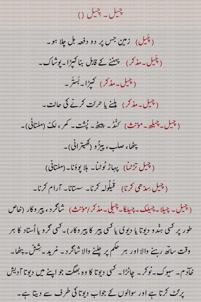 چیل,, زمین جس پر دو دفعہ ہل چلا ہو,  پہننے کے قابل بنا کپڑا,پوشاک,  کپڑا,بستر,  ہلنے یا حرکت کرنے کی حالت,چیلھ,, کنڈ, پیٹھ, پشت, کمر، لک ,پٹھا، صلب، پیڑو, چیل تڑٹنا, پہاڑ ٹوٹنا, ہلا پوونا, چیل سدھی کرنا,  قیلولہ کرنا, سستانا, آرام کرنا, چیلا,چیلک,چیلکا,چیلی,  شاگرد، پیروکار (خاص طور پر کسی ہندو دیوتا یا دیوی یا کسی پیر کا پیروکار),کسی گرو یا استاد کا ہر وقت ساتھ رہنے والا اور ہر حکم پر چلنے والا شاگرد, مرید,شش,پٹھا, خآدم, سیوک,نوکر, چاٹڑا, کسی دیوتا کا وہ بھگت جو اپنے میں دیوتا آدیش پرگٹ کرتا ہے اور سوالوں کے جواب دیوتا کی طرف سے دیتا ہے