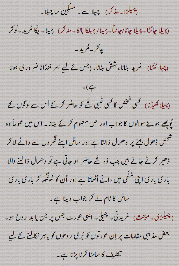 ,چیلڑا, چیلا سے, مسکین سا چیلا,چیلا چاٹڑا,چیلا چاٹا/چانٹا,چیلا/ چیلکا بالکا, چیلا, پکا مرید,نوکر چاکر,مرید,چیلا مننا,, مرید بنانا، شش بنانا، (جس کے لیے سر منڈانا ضروری ہوتا ہے),چیلا کھیڈنا)   کسی شخص کا کسی غیبی شے کو حاضر کر کے اس سے لوگوں کے پوچھے ہوئے سوالوں کا جواب اور حل معلوم کر کے بتانا, اس میں عموماً وہ شخص ڈھول بجنے پر دھمال ڈالتا ہے اور سائل اپنے گھروں سے دانے لا کر ڈھیر کرتے جاتے ہیں جب وہ شے حاضر ہو جاتی ہے تو دھمال ڈالنے والا باری باری اپنی مٹھی میں دانے اٹھاتا ہے اور ان کو سونگھ کر باری باری سائل کا نام لے کر جواب دیتا ہے, چیلڑی, مریدنی, چیلی, ایسی عورت جس پر جن یا بد روح ہو, بعض مذہبی مقامات پر ان عورتوں کو بری روحوں کو باہر نکالنے کے لیے تکلیف کا سامنا کرنا پڑتا ہے,بھنگ کا چھلکا,