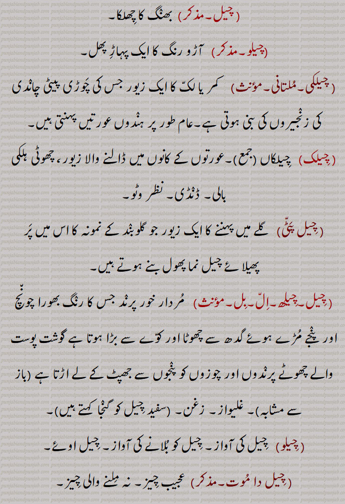 چیلو, آڑو رنگ کا ایک پہاڑ پھل, چیلکی, کمر یا لک کا ایک زیور جس کی چوڑی پیٹی چاندی کی زنجیروں کی بنی ہوتی ہے,عام طور پر ہندوں عورتیں پہنتی ہیں, چیلک,  چیلکاں,عورتوں کے کانوں میں ڈالنے والا زیور، چھوٹی ہلکی بالی, ڈنڈی, نظر وٹو, چیل پٹی, گلے میں پہننے کا ایک زیور جو گلوبند کے نمونہ کا اس میں پر پھیلائے چیل نما پھول بنے ہوتے ہیں,چیلھ,ال,بل,  مردار خور پرند جس کا رنگ بھورا چونچ اور  پنجے مڑے ہوئے گدھ سے چھوٹا اور کوے سے بڑا ہوتا ہے گوشت پوست والے چھوٹے پرندوں اور چوزوں کو پنجوں سے جھپٹ کے لے اڑتا ہے (باز سے مشابہ), غلیواز, زغن, (سفید چیل کو گنجا  کہتے ہیں), چیلو,  چیل کی آواز, چیل کو بلانے کی آواز, چیل اوئے, چیل دا موت,,  عجیب چیز, نہ ملنے والی چیز,