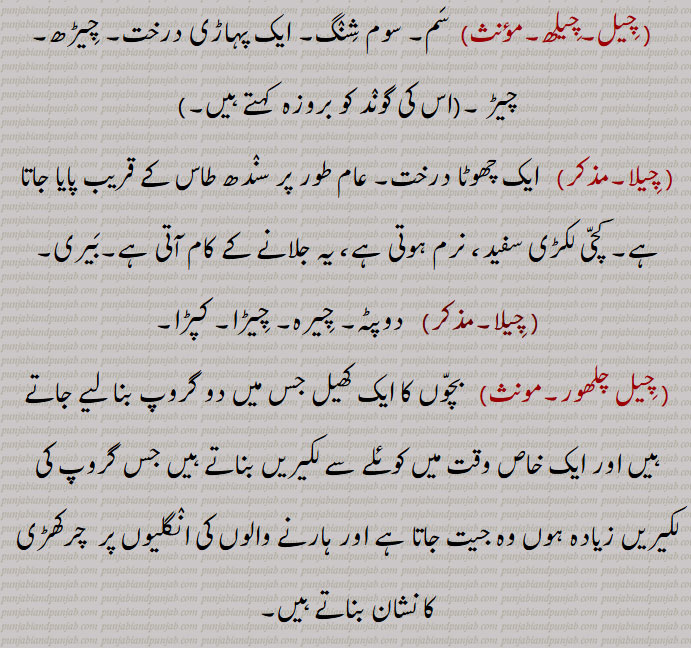 ,چیلھ, سم, سوم شنگ, ایک پہاڑی درخت, چیڑھ, چیڑ ,(اس کی گوند کو بروزہ  کہتے ہیں, چیلا,  ایک چھوٹا درخت, عام طور پر سندھ طاس کے قریب پایا جاتا ہے, کچی لکڑی سفید، نرم ہوتی ہے، یہ جلانے کے کام آتی ہے,بیری, دوپٹہ, چیرہ, چیڑا, کپڑا, چیل چلھور, بچوں کا ایک کھیل جس میں دو گروپ بنا لیے جاتے ہیں اور ایک خاص وقت میں کوئلے سے لکیریں بناتے ہیں جس گروپ کی لکیریں زیادہ ہوں وہ جیت جاتا ہے اور ہارنے والوں کی انگلیوں پر  چرکھڑی کا نشان بناتے ہیں
