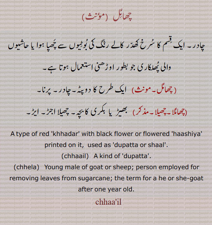 چھائل,chhaa'il, ਛਾਇਲ, chhela,ਛੇਲਾ,دوپٹہ,شال,چادر,چھائلا,چھیلا
چھائِل,چادر۔ ایک قِسم کا سُرخ کھدّر کالے رنٛگ کی بُوٹِیوں سے چَھپا ہوا یا حاشیوں والی پُھلکاری جو بطور اوڑھنی استعمال ہوتا ہے, ایک طرح کا دوپٹہ۔چادر۔ پرنا,چھائلا۔چھیلا,  بھیڑ  یا  بکری کا بچہ۔ چھیلا اجڑ۔ ایڑ,A type of red 'khhadar' with black flower or flowered 'haashiya' printed on it,  used as 'dupatta or shaal'.,chhaail,A kind of 'dupatta'.,chhela, Young male of goat or sheep; person employed for removing leaves from sugarcane; the term for a he or she-goat after one year old.