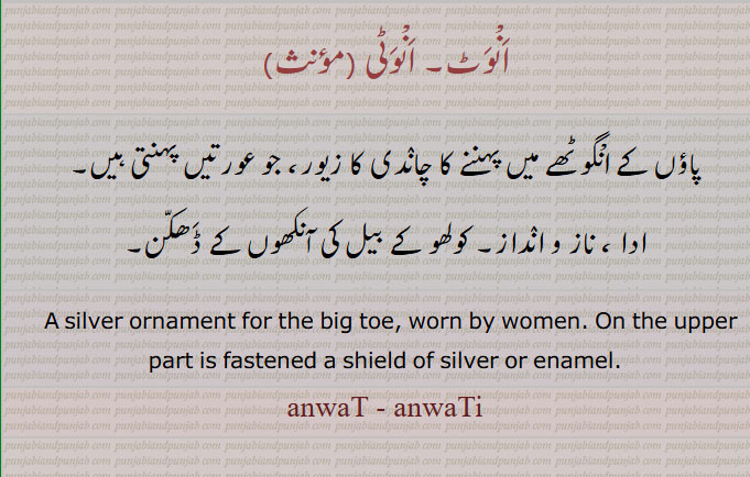 انوٹ, انوٹی,
پاؤں کے انگوٹھے میں پہننے کا چاندی کا زیور، جو عورتیں پہنتی ہیں۔
ادا ، ناز و انداز۔ کولھو کے بیل کی آنکھوں کے ڈھکن۔
  A silver ornament for the big toe, worn by women. On the upper part is fastened a shield of silver or enamel.
anwaT - anwaTi