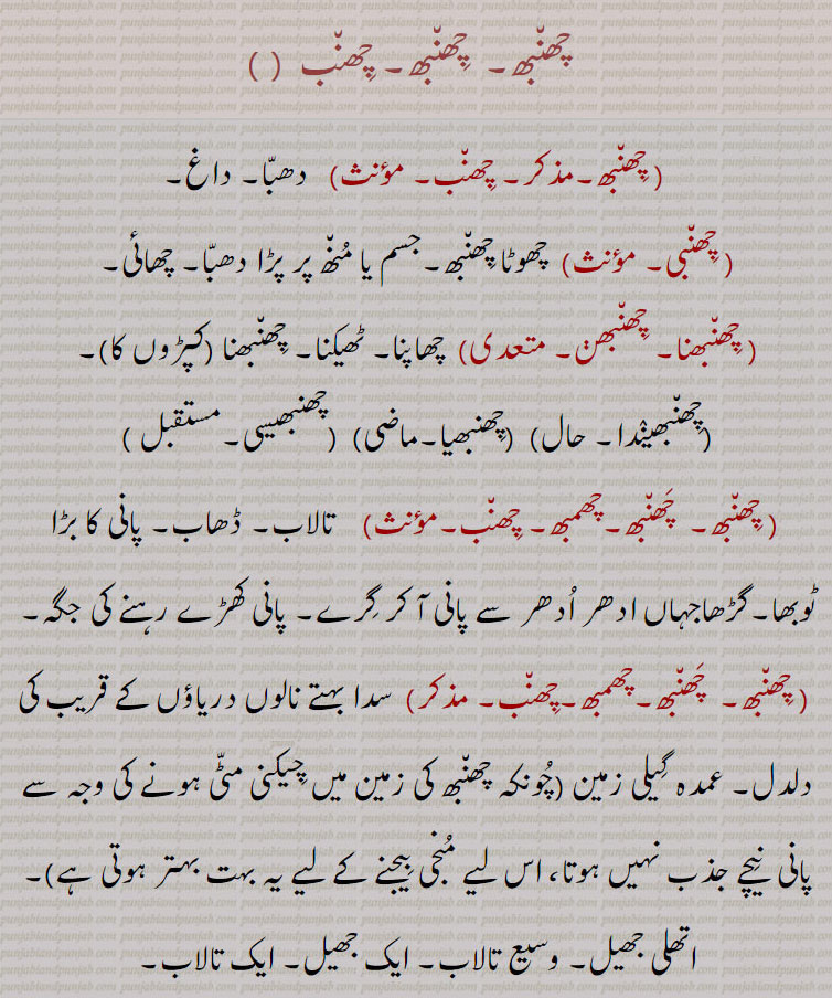 chhaNbh, chhiNbh, chhaNb, چھنبھ,  چھنبھ, چھنب  , دھبا, داغ, چھنبی, چھوٹا چھنبھ,جسم یا منھ پر پڑا دھبا, چھائی, چھنبھنا, چھنبھڽ, چھاپنا, ٹھیکنا, چھنبھنا (کپڑوں کا),چھنبھیندا,چھنبھیا,چھنبھیسی,چھمبھ, چھنب,  تالاب, ڈھاب, پانی کا بڑا ٹوبھا,گڑھاجہاں ادھر ادھر سے پانی آ کر گرے, پانی کھڑے رہنے کی جگہ,  سدا بہتے نالوں دریاؤں کے قریب کی دلدل, عمدہ گیلی زمین (چونکہ چھنبھ کی زمین میں چکنی مٹی ہونے کی وجہ سے پانی  نیچے جذب نہیں ہوتا، اس لیے منجی بیجنے کے لیے یہ بہت بہتر ہوتی ہے),اتھلی جھیل, وسیع تالاب, ایک جھیل,ایک تالاب, چھنبھڑ,