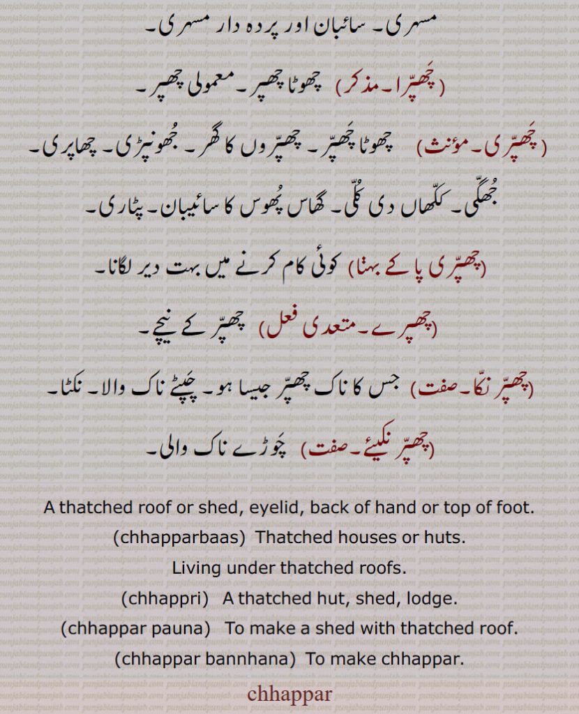 A thatched roof or shed, eyelid, back of hand or top of foot.,chhapparbaas,  Thatched houses or huts.,Living under thatched roofs.,chhappri,  A thatched hut, shed, lodge.,chhappar pauna,   To make a shed with thatched roof.,chhappar bannhana,  To make chhappar. ,chhappar, ਛਪੱਰ,  ਛਪੱਰੀ, ਛੱਪਰ ਪਾਉਣਾ, ਛੱਪਰ ਬੰਨ੍ਹਣਾ