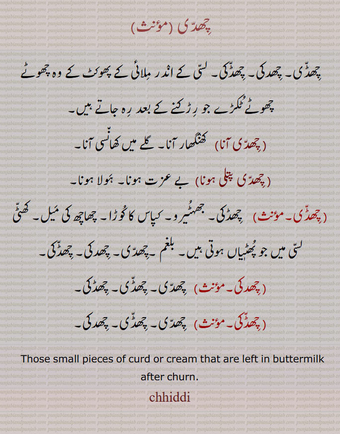 چھدی,چھڈی۔ چھدکی۔ چھڈکی۔ لسی کے اندر ملائی کے پھوکٹ کے وہ چھوٹے چھوٹے ٹکڑے جو رڑکنے کے بعد رہ جاتے ہیں, چھدی آنا,  کھنگھار آنا۔ گلے میں کھانسی آنا, چھدی پتلی ہونا, بے عزت ہونا۔ ہولا ہونا, چھڈی۔,   چھڈکی۔ جھہٹیرو۔ کپاس کا کوڑا۔ چھاچھ کی میل۔ کھٹی لسی میں جو پھٹٖیاں ہوتی ہیں۔ بلغم ۔چھدی۔ چھدکی۔ چھڈکی, چھدکی, چھدی۔ چھڈی۔ چھڈکی,  چھدی۔ چھڈی۔ چھدکی,  Those small pieces of curd or cream that are left in buttermilk after churn.chhiddi,ਛਿੱਦੀ, ਛੁਡਕੀ, ਛਿਦਕੀ, ਛੱਡੀ,chhiddi