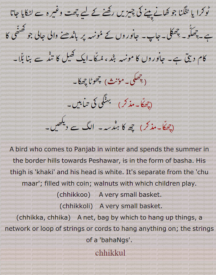 A bird who comes to Panjab in winter and spends the summer in the border hills towards Peshawar, is in the form of basha. His thigh is 'khaki' and his head is white. It's separate from the 'chu maar'; filled with coin; walnuts with which children play.,chhikkoo,    A very small basket.,(chhikkoli,  A very small basket.,chhikka, chhika,A net, bag by which to hang up things, a network or loop of strings or cords to hang anything on; the strings of a 'bahaNgs'., chhikkul
