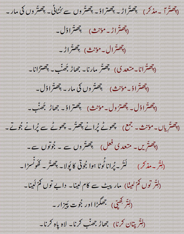  جُوتے مارنا۔ پَت لاہُنا۔ عزت اُتارنا۔ جھاڑ پانا,چِھتّرِیں ڈہِنا,  بہت مارنا۔ جُوتوں سے مارنا,چِھتّرآ ,   چِھتّراڑ۔ چِھتراؤ۔ چِھتّروں سے کُٹائی۔ چِھتّروں کی مار,چِھتّراڑ,  چِھتّراؤل,چِھتّرال, چِھتّراڑ,چِھتّرانا, چھتّر مارنا۔ جھاڑ جَھن٘ب۔ چِھتڑانا,چِھتّراؤ,چِھتّروں کی مار۔ چِھتّراؤل,چِھتّراؤل۔ چِھترَول,    چِھتراؤ۔ جھاڑ  جَھن٘ب,چِھتّرٖیاں, چھوٹے پُرانے چِھتّر۔ چھوٹے سے پُرانے جُوتے,چِھتّرِیں,  چِھتّروں سے ۔ جُوتوں سے,لِتّر,  لَتَر۔پُرانا ٹُوٹا ہوا جُوتی کا پَولا۔ چِھتّر۔ کَھون٘سڑا,لِتّر توں کمّ لیڽا, مار پیٹ سے کام لینا۔