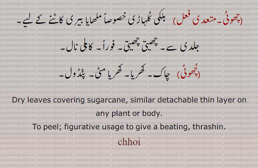 چھوئی۔ کھوری پتی۔ کماد کی ضشک پتی۔ کماد کی کھوری۔ دھان کی پرالی۔ جسم کی باریک چمڑی۔ گنے کا پھوک جو رس کے بعد۔ کھوئی۔ چھوٹی لاہنا۔ گنے سے چھوئی اتارنا۔ تنقید کرنا۔ چھل لاہنا۔ زیادہ قیمت وصول۔چھوئی لتھنا۔ زیادہ پیسے سودے میں دینا۔ چھوئی لہانا۔ مہنگا خریدنا۔ ہلی کلہاڑی ملھایا بیری کاٹنے کے لیے۔ جلدی سے۔ چھیتی فوراً۔ کاہلی ۔ چاک۔ کھریا۔ کھریا مٹی۔ پنڈول۔