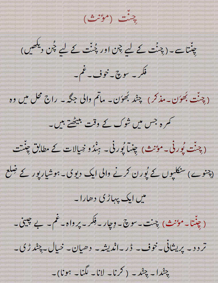 چنت  ,چنتاسے,فکر۔ سوچ۔خوف۔غم, چنت بھون,  چند بھون۔ ماتم والی جگہ۔ راج محل میں وہ کمرہ جس میں شوک کے وقت بیٹھتے ہیں, چنت پورنی, چنتا پورنی۔ ہندو خیالات کے مطابق چنتت (چنوے) سنکلپوں کے پورن کرنے والی ایک دیوی۔ہوشیارپور کے ضلع میں ایک پہاڑی دھارا, چنتا,,  