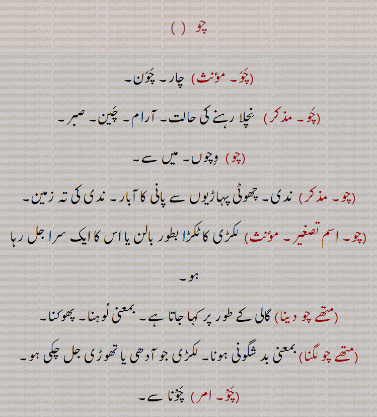 چو۔ چار۔ چون۔ نچلا رہنے کی حالت۔ آرام۔ چین۔ صبر۔ وچوں میں سے۔ ندی۔ چھوٹی پہاڑیوں سے پانی کا آبشار۔ ندی کی تہ۔ لکڑی کا ٹکڑا بطور بالن یا جس کا سرا جل رہا۔ گالی ۔متھے چو دینا۔ لوہنا۔ پھوکنا۔ بدشگونی۔ کنگی۔ سخت زمین کے لیے ہل کا سرا یعنی پھالا۔ پھاڑ کر شیار بنانا۔