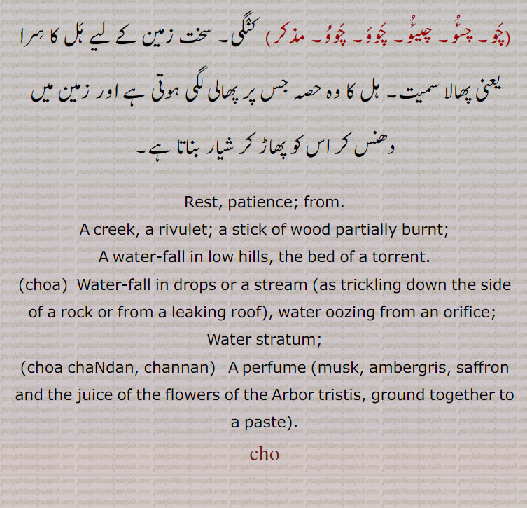 ਚੋ,A creek, a rivulet; a stick of wood partially burnt;, A water-fall in low hills, the bed of a torrent.choa, ਚੋਆ, Water-fall in drops or a stream (as trickling down the side of a rock or from a leaking roof), water oozing from an orifice; Water stratum;choa chandan, channan,   A perfume (musk, ambergris, saffron and the juice of the flowers of the Arbor tristis, ground together to a paste).