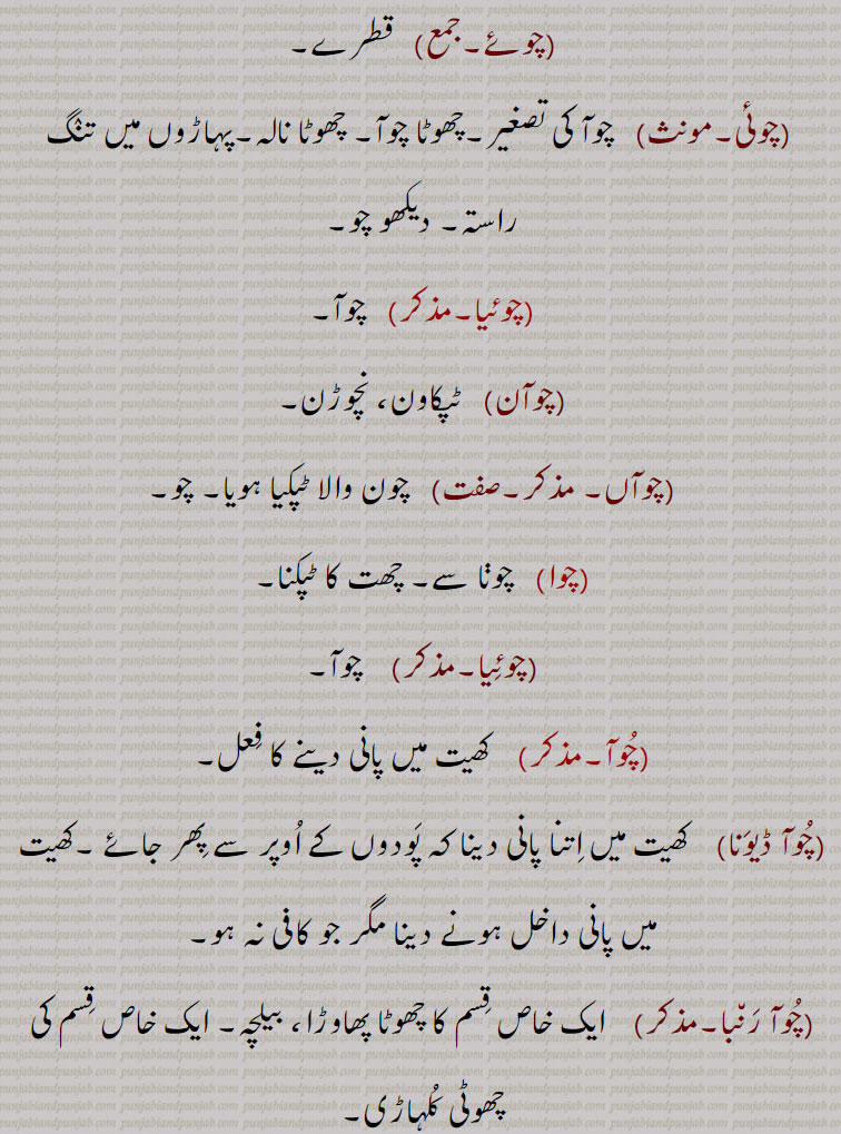 قطرے,چوئی, ,چھوٹا نالہ,پہاڑوں میں تنگ راستہ,,چوئیا,چوآ,چوآن,  ٹپکاون, نچوڑن,چوآں,  چون والا ٹپکیا ہویا, چو,چوا,   چوڽا سے, چھت کا ٹپکنا,چوئیا,  کھیت میں پانی دینے کا فعل,چوآ ڈیونا,   کھیت میں اتنا پانی دینا کہ پودوں کے اوپر سے پھر جائے ,کھیت میں پانی داخل ہونے دینا مگر جو کافی نہ ہو,چوآ رنبا, ایک خاص قسم کا چھوٹا پھاوڑا, بیلچہ, ایک خاص قسم کی چھوٹی کلہاڑی,چوآ کھن, تھوڑا سا, 