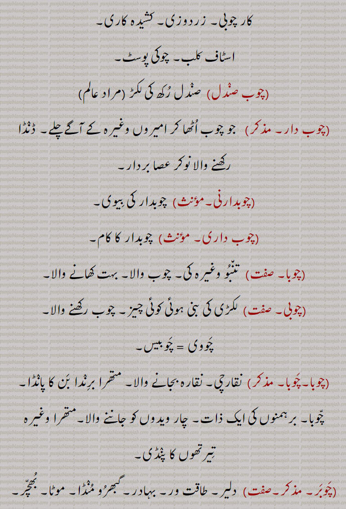 کار چوبی۔ زردوزی۔ کشیدہ کاری، اسٹاف کلب۔ چوکی پوسٹ، چوب صندل،  صندل رکھ کی لکڑ ،  چوب دار،   جو چوب اٹھا کر امیروں وغیرہ کے آگے چلے۔ ڈنڈا رکھنے والا نوکر عصا بردار، چوبدارنی،  چوبدار کی بیوی،چوب داری،  چوبدار کا کام،چوبا،  تنبو وغیرہ کی۔ چوب والا۔ بہت کھانے والا،چوبی۔   لکڑی کی بنی ہوئی کوئی چیز۔ چوب رکھنے والا۔
چووی = چوبیس،چوبا۔،  نقارچی۔ نقارہ بجانے والا۔ متھرا برندا بن کا پانڈا۔ چوبا۔ برہمنوں کی ایک ذات۔ چار ویدوں کو جاننے والا۔متھرا وغیرہ تیرتھوں کا پنڈی،چوبر،  دلیر۔ طاقت ور۔ بہادر۔گبھرو منڈا۔ موٹا۔ بھچر۔