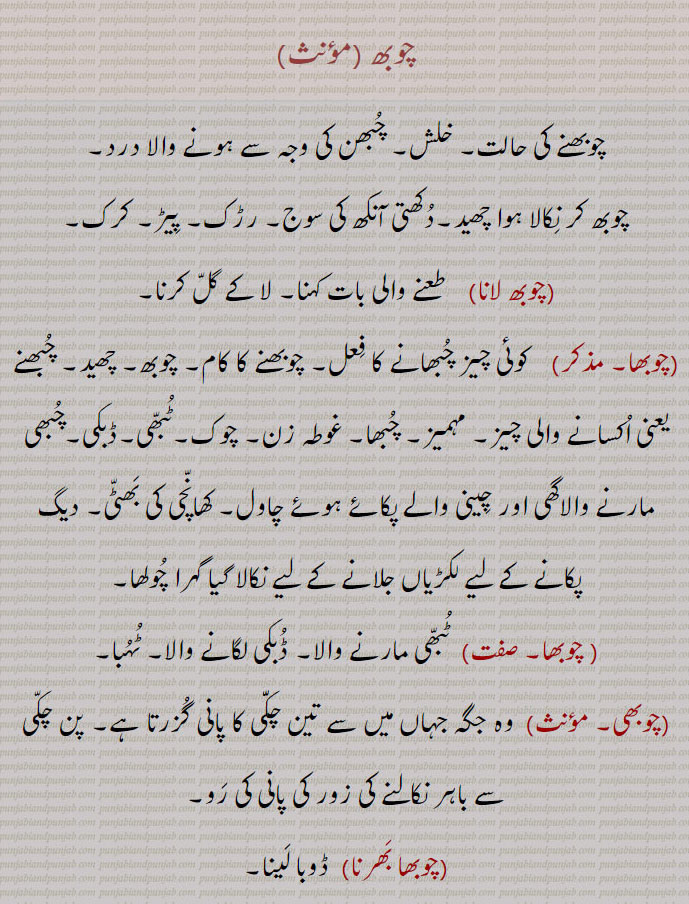 
چوبھ ,چوبھنے کی حالت۔ خلش۔ چُبھن کی وجہ سے ہونے والا درد۔
چوبھ کر نِکالا ہوا چھید۔دُکھتی آنکھ کی سوج۔ رڑک۔ پِیڑ۔ کرک,چوبھ لانا,طعنے والی بات کہنا۔ لا کے گلّ کرنا,چوبھا,   کوئی چیز چُبھانے کا فِعل۔ چوبھنے کا کام۔ چوبھ۔ چھید۔ چُبھنے یعنی اُکسانے والی چیز۔ مہمیز۔ چُبھا۔ غوطہ زن۔ چوک۔ٹُبّھی۔ڈبکی۔چُبھی مارنے والاگھی اور چِینی والے پکائے ہوئے چاول۔ کھانّچی کی بَھٹّی۔ دیگ پکانے کے لیے لکڑیاں جلانے کے لیے نکالا گیا گہرا چُولھا, چوبھا,  ٹُبّھی مارنے والا۔ ڈُبکی لگانے والا۔ ٹُہُبا,چوبھی, وہ جگہ جہاں میں سے تین چکّّی کا پانی گُزرتا ہے۔ پن چکّی سے باہر نکالنے کی زور کی پانی کی رَو,چوبھا بَھرنا,  ڈوبا لَینا۔