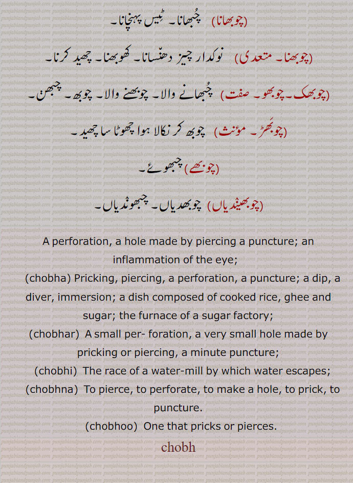  چوبھانا,  چُبھانا۔ ٹِیس پہنچانا,چوبھنا, نوکدار چیز دھن٘سانا۔ کھوبھنا۔ چھید کرنا,چوبھک۔چوبھو,  چُبھانے والا۔ چوبھنے والا۔ چوبھ۔ چبھڽ,چوبَھڑ,  چوبھ کر نکالا ہوا چھوٹا سا چھید,چوبھے, چبھوئے,چوبھینٛدیاں,  چوبھدیاں,چبھونٛدیاں, A perforation, a hole made by piercing a puncture; an inflammation of the eye;  ,chobha,  Pricking, piercing, a perforation, a puncture; a dip, a diver, immersion; a dish composed of cooked rice, ghee and sugar; the furnace of a sugar factory;,chobhar,  A small per- foration, a very small hole made by pricking or piercing, a minute puncture;, chobhi, The race of a water-mill by which water escapes;,chobhna,  To pierce, to perforate, to make a hole, to prick, to puncture., chobhoo,  One that pricks or pierces.
chobh, chobh, ਚੋਭ,chobha, ਚੋਭਾ, chob,ਚੋਥ,choba,ਚੋਥਾ