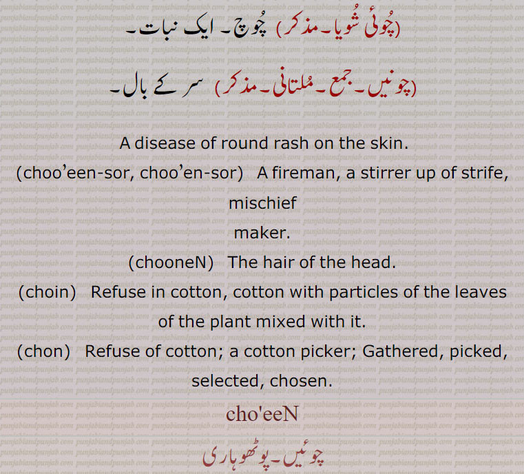 A disease of round rash on the skin. ,choo’een-sor, choo’en-sor, A fireman, a stirrer up of strife, mischief maker., chooneN,   The hair of the head. ,choin,   Refuse in cotton, cotton with particles of the leaves of the plant mixed with it. ,chon,   Refuse of cotton; a cotton picker; Gathered, picked, selected, chosen. ,cho'eeN,choeeN ,choiN,  ਚੋਈਂ,chooneen,ਚੂਨੇਂ ,chooeen-sor,choin, ਚੋਇਣ,choin, chooneN, chooen-sor,ਚੋਇਣ ,