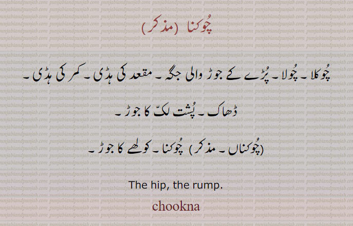 چوکنا  ,چوکلا۔ چولا۔ پڑے کے جوڑ والی جگہ۔ مقعد کی ہڈی۔ کمر کی ہڈی۔ ڈھاک۔ پشت لک کا جوڑ,چوکناں, چوکنا۔ کولھے کا جوڑ۔
The hip, the rump.chookna, chukna,ਚੌਕਨਾ