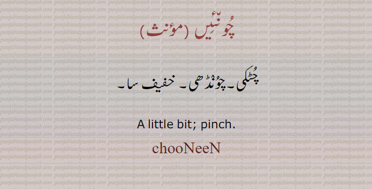   chooNiN , ਚੂਂਈਂ,چُوں٘ئِیں  
چُٹکی۔چوُنٛڈھی۔ خفیف سا۔
A little bit; pinch. chooNeeN, huNeeN, chuNiN, chooNeeN, chuNeeN