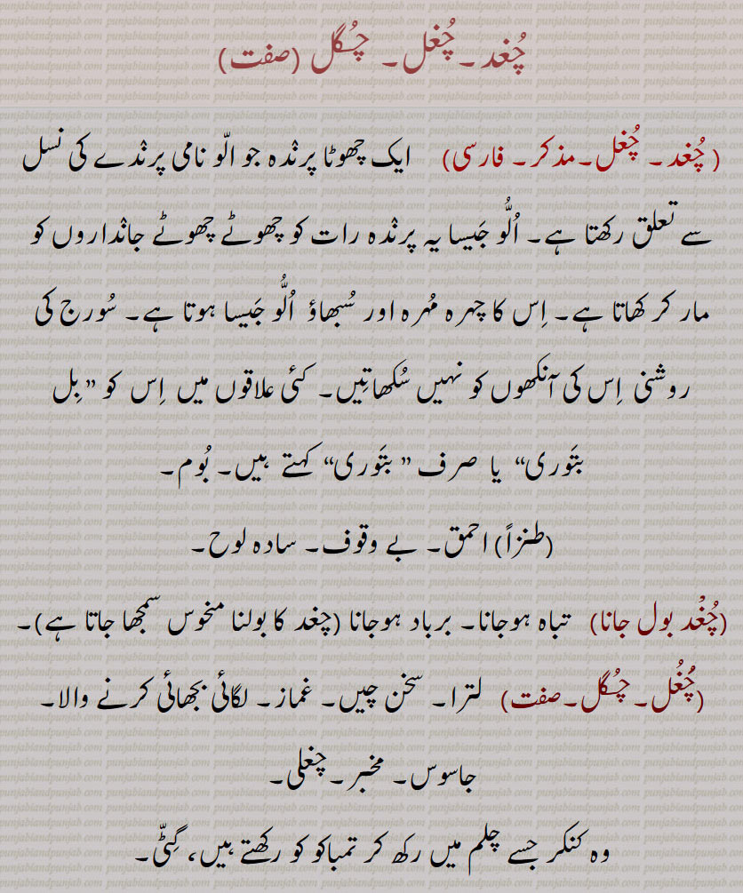 چغد۔ چغل۔ چگل۔ الو۔ رات کو چھوٹے جانور مار کھاتا ہے۔ الو جیسا۔ سورج کی روشنی میں آنکھ نہیں کھلتی۔ بل بتوری۔احمق۔ بے وقوف۔ سادہ لوح۔ چغد بول جانا۔ تباہ ہونا۔ برباد ہونا۔ لترا۔ سخن چیں۔ غماز۔ لگائی بجھائی کرنے والا۔ جاسوس۔ مخبر۔ چغلی۔ کنکر جس سے چلم حقہ کی تمباکو سے پہلے گٹی گیٹی۔ چغل مارنا۔ شکایت کرنا۔ چغل خور۔ غیبت کھانے والا۔چغل خوری۔ لگائی بجھائِ کرنے کی عادت۔ غمازی۔ چغلا۔ چغل خور۔ چغلی۔ غیبت۔ بدی۔ چغلی سازی۔ دھوکا۔ چگل۔ عہد اکبری کا سکہ جو چوکور تھا۔ 