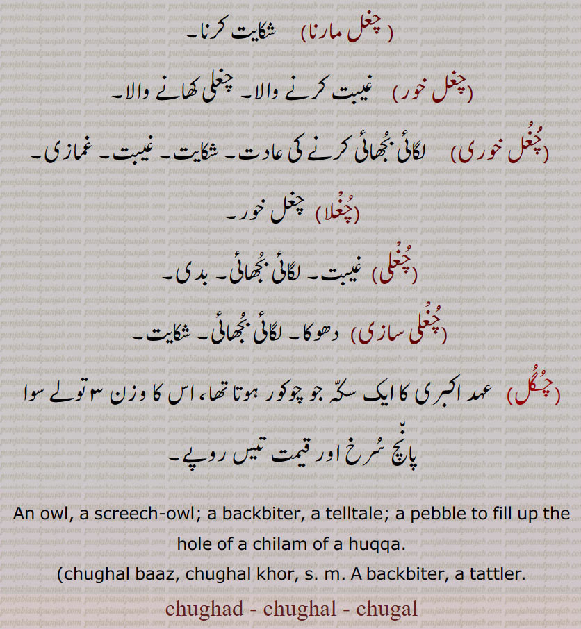 chughad, chughal, chugal, ਚੁਗਦ, ਚੁਗਲ, chughal an owl screech owl. backbiter telltale. pebble to fill up hole chilam of huqqa. chughal baaz chughal khor. backbiter. tattler. chughad. chughal. chugal.