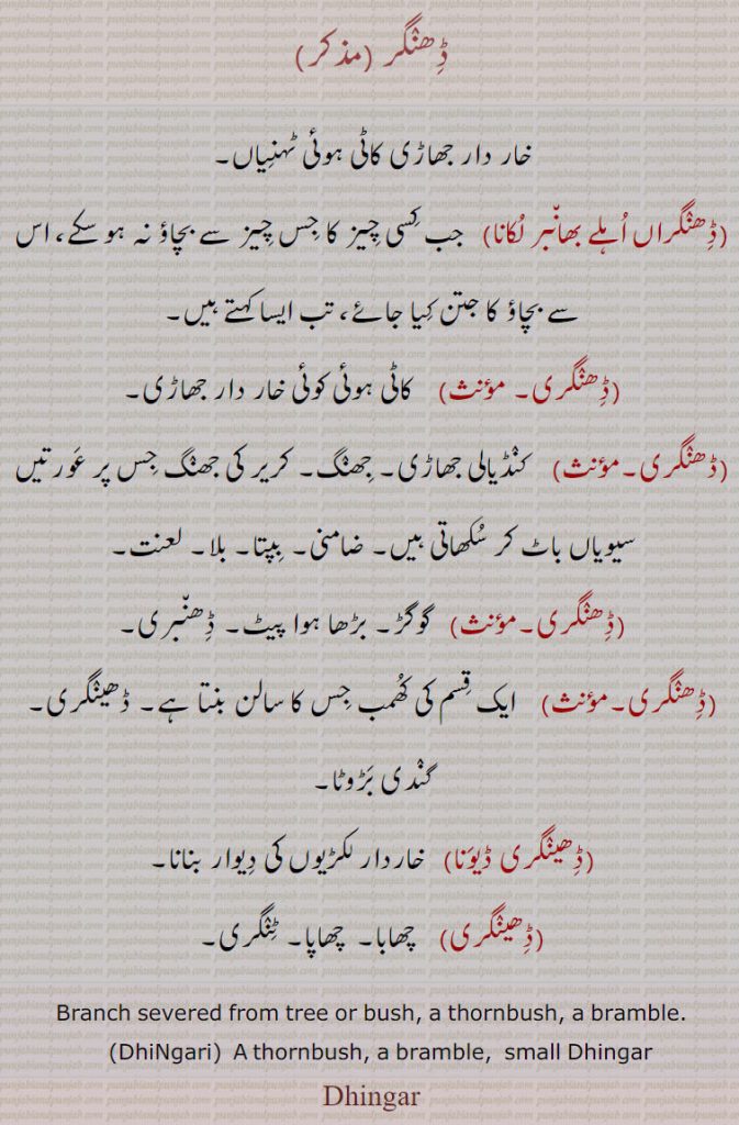 
ڈھنگر,خار دار جھاڑی کاٹی ہوئی ٹہنیاں,ڈھنگراں اہلے بھانبر لکانا,   جب کسی چیز کا جس چیز سے بچاؤ نہ ہو سکے، اس سے بچاؤ کا جتن کیا جائے، تب ایسا کہتے ہیں,ڈھنگری,  کاٹی ہوئی کوئی خار دار جھاڑی,ڈھنگری,    کنڈیالی جھاڑی۔ جھنگ۔ کریر کی جھنگ جس پر عورتیں سیویاں باٹ کر سکھاتی ہیں۔ ضامنی,بپتا۔ بلا۔ لعنت,ڈھنگری۔,  گوگڑ۔ بڑھا ہوا پیٹ۔ ڈھنبری,ڈھنگری,   ایک قسم کی کھمب جس کا سالن بنتا ہے۔ ڈھینگری۔ گندی بڑوٹا,ڈھینگری ڈیونا,خاردار لکڑیوں کی دیوار بنانا,ڈھینگری,   چھابا۔  چھاپا۔ ٹنگری۔
Branch severed from tree or bush, a thornbush, a bramble.,DhiNgari, A thornbush, a bramble,  small Dhingar, Dhingar, Dheengar, ਢੀਂਗਰ ,ਢੀਂਗਰਢੀਂ, ਢੀਂਗਢੀਂ ਰੀ, ਢੀਂਗਰੀ,