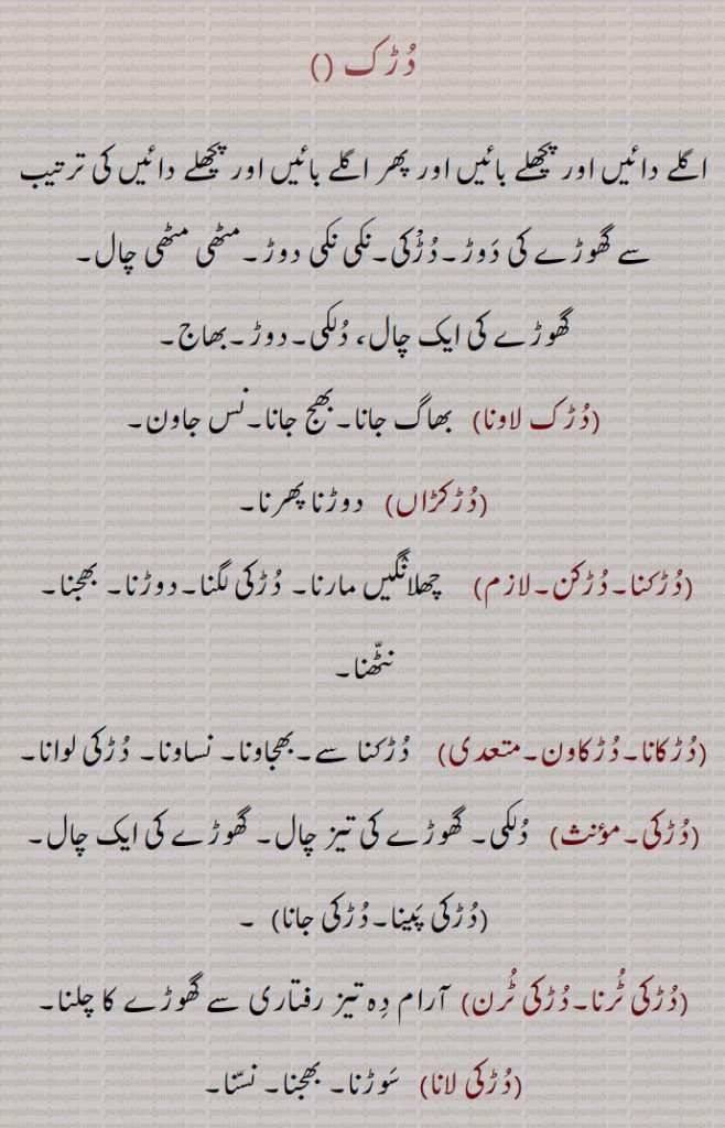 دڑک ,اگلے دائیں اور پچھلے بائیں اور پھر اگلے بائیں اور پچھلے دائیں کی ترتیب سے گھوڑے کی دوڑ۔دڑْکی۔نکی نکی دوڑ۔مٹھی مٹھی چال,گھوڑے کی ایک چال، دلکی۔دوڑ۔بھاج,دڑک لاونا, بھاگ جانا۔بھج جانا۔نس جاون,دڑکڑاں,  دوڑنا پھرنا,دڑکنا۔دڑکن,   چھلانگیں مارنا۔ دڑکی لگنا۔دوڑنا۔ بھجنا۔  نٹھنا,دڑکانا۔دڑکاون,  دڑکنا سے۔بھجاونا۔ نساونا۔ دڑکی لوانا,دڑکی,  دلکی۔ گھوڑے کی تیز چال۔ گھوڑے کی ایک چال,دڑکی پینا۔دڑکی جانا,دڑکی ٹرنا۔دڑکی ٹرن,  آرام دہ تیز رفتاری سے گھوڑے کا چلنا,دڑکی لانا,   سوڑنا۔ بھجنا۔ نسنا۔
