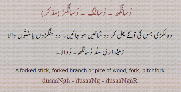 ,dusangi,ਦੁਸਾਂਗੀ,دُسانگی, forked stick. forked branck or pice of wood. fork. pitchfork. dusangh. dusaang. dusaangar. دسانگھ۔ دسانگ۔ دسانگڑ۔ لکڑی جس کے اگے چل کر دو شاخیں ہو جائیں۔ دو سنگڑوں یا ستون والا زمینداری سند دسانگھا۔ دوالا۔