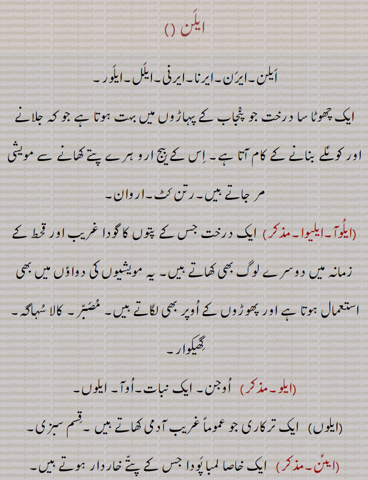 ایلن , ایرن۔ایرنا۔ایرنی۔ایلل۔ایلور, ایک چھوٹا سا درخت جو پنجاب کے پہاڑوں میں بہت ہوتا ہے جو کہ جلانے اور کوئلے بنانے کے کام آتا ہے۔ اس کے بیج ارو ہرے پتے کھانے سے مویشی مر جاتے ہیں۔رتن کٹ۔اروان, ایلوآ۔ایلیوا , ایک درخت جس کے پتوں کا گودا غریب اور قحط کے زمانہ میں دوسرے لوگ بھی کھاتے ہیں۔ یہ مویشیوں کی دواؤں میں بھی استعمال ہوتا ہے اور پھوڑوں کے اوپر بھی لگاتے ہیں۔ مصبر۔ کالا سہاگہ۔ گھیکوار, ایلو,   اوجن۔ ایک نبات۔اوآ۔ ایلوں, ایلوں,   ایک ترکاری جو عموماً غریب آدمی کھاتے ہیں ۔قسم سبزی, ایئن,  ایک خاصا لمبا پودا جس کے پتے خاردار ہوتے ہیں۔