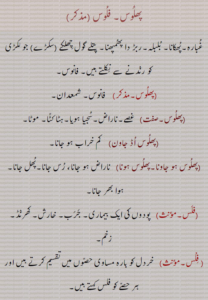 پھلوس۔ فلوس, غبارہ۔پھکانا۔ بلبلہ۔ربڑ دا پھمپھنا۔ پتلے گول چھلکے (سکڑے) جو لکڑی کو رندنے سے نکلتے ہیں۔ فانوس, پھلوس,    فانوس۔ شمعدان, پھلوس, غصے۔ناراض۔سجیا ہویا۔ہٹا کٹا۔ موٹا, پھلوس اڈ جاون,    کم خراب ہو جانا, پھلوس ہو جاونا۔پھلوس ہونا,  ناراض ہو جانا، رس جانا۔پھل جانا۔ہوا بھر جانا, فلس,   پودوں کی ایک بیماری۔ جرب۔ خارش۔ کھرنڈ۔ زخم, فلْس, خردل کو بارہ مساوی حصوں میں تقسیم کرتے ہیں اور ہر حصے کو فلس کہتے ہیں, فلْس,   بنی طے کا ایک بت جسے وہ پوجتے تھے, فلْس,    تانْبے کا سکہ, پیسہ۔ تانبے کا پیسہ, مچھلی سانپ وغیرہ کی جلد پر کا گول چھلکا، سفنا,فلوس, پیسے۔تانبے کے سکے۔ایک قسم سخت چھلکے کا پھل جو عربستان، مصر اور ہندوستان میں پیدا ہوتا ہے، اس کا مغز کڑوا ہوتا ہے اور اس کا جوشاندہ بطور مسہل استعمال ہوتا ہے، املتاس, مچھلی کی پشت پر پائے جانے والے چھلکے، سنے، کھپرے۔, فلْس,   بنی طے کا ایک بت جسے وہ پوجتے تھے,