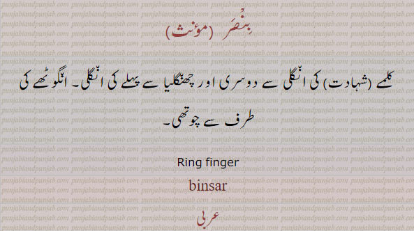 Ring finger. binsar. ਬਿਨਸਰ, شہادت کی انگلی سے دوسری اور چھنگلیا سے پہلے کی اور انگوٹھے سے چوتھی انگلی۔بنصر۔