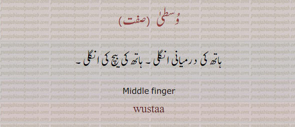 وسطی۔ ہاتھ کی درمیانی انگلی۔ بیچ کی انگلی۔, middle finger.  wusta. wasta.ਵਸਤਾ