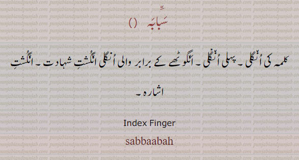 Index finger. sabbabah. ਸਬਹਬਾ, sababah, سبابہ۔ کلمہ کی انگلی۔ پہلی انگلی۔ انگوٹھے کے ساتھ والی انگلی۔ انگشت شہادت۔ انگشت اشارہ۔