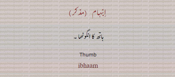 ابہام۔ ہاتھ کا انگوٹھا۔ , thumb. abhaam. abham.ਅਬਹਾਮ, خنصر, بنصر,وسطی,سبابہ,ابہام, finger names, ibhaam , sababah, wusta, wasta, binsar, khinsar,ਅਬਹਾਮ, ਸੁਬਹਬਾ, ਵਸਤਾ, ਬਿਨਸਰ, ਖ਼ਿਨਸਰ