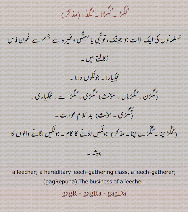 گگڑ، گگڑا,   گگڈا,گگڑن,گگڑیاں,گگڑی,  گگڈی,  گگڑپنا,  گگڑے پنا, ایک ذات جو جونک۔ تونبی سینگی سے جسم سے خون فاس نکالتے ہیں۔ جکیارا۔ جونوں والا۔ جکیاری۔ بد کلام عورت۔جونکیں لگانے کا کام جونیں لگانے کا پیشہ۔,gagR, ਗੱਗੜ, gagDa, ਗਗਡ਼ਾ, gagaRa, ਗਗੜਾ,  gagRan, ਗਗਡ਼ਣ, gagRee, gagDee, ਗਗਡ਼ੀ, gagRepuna,ਗਗੜੇਪੁਣਾ,  gagDepuna, ਗਗਡ਼ੇਪੁਣਾ, 