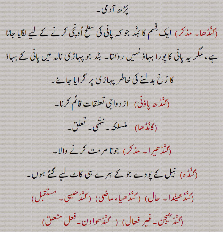  اَن پَڑھ آدمی, گنٛڈھا,  ایک قِسم کا بَنٛد جو کہ پانی کی سطح اُونچی کرنے کے لیے لگایا جاتا ہے، مگر یہ پانی کا پورا بہاؤ نہیں روکتا۔ بنٛد جو پہاڑی نالہ میں پانی کے بہاؤ کا رُخ بدلنے کی خاطر پہاڑی پر گرایا جائے,گنٛڈھ پاؤنی,   ازدواجی تعلقات قائم کرنا,گانٛڈھا,  منسلکہ۔نتّھی۔ تعلق,گنٛڈھیرا, جوتا مرمت کرنے والا,گنٛڈہ,  نِیل کے پودے جو کے ہرے ہی کاٹ لیے گئے ہوں,گنٛڈھینٛدا, گنٛڈھیا, گنٛڈھیسی,گنٛڈھِیجن,  گنٛڈھواون,