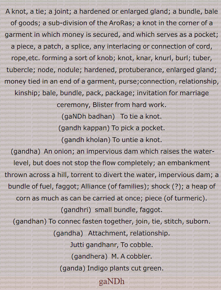 A knot, a tie; a joint; a hardened or enlarged gland; a bundle, bale of goods; a sub-division of the AroRas; a knot in the corner of a garment in which money is secured, and which serves as a pocket; a piece, a patch, a splice, any interlacing or connection of cord, rope,etc. forming a sort of knob; knot, knar, knurl, burl; tuber, tubercle; node, nodule; hardened, protuberance, enlarged gland; money tied in an end of a garment, purse;connection, relationship, kinship; bale, bundle, pack, package; invitation for marriage ceremony, Blister from hard work., gaNDh badhan,   To tie a knot., gandh kappan, To pick a pocket., gandh kholan, To untie a knot., gandha,  An onion; an impervious dam which raises the water-level, but does not stop the flow completely; an embankment thrown across a hill, torrent to divert the water, impervious dam; a bundle of fuel, faggot; Alliance (of families); shock (?); a heap of corn as much as can be carried at once; piece (of turmeric. gandhri.  small bundle, faggot., gandhan, To connec fasten together, join, tie, stitch, suborn., gandha,   Attachment, relationship., Jutti gandhanr, To cobble., gandhera,cobbler., ganda, Indigo plants cut green., gaNDh, relationship.  gandh, ਗੰਢ,