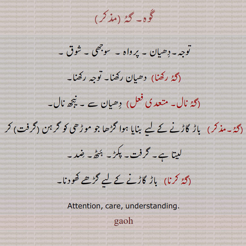 گوہ۔ گہ ,توجہ۔دھیان ۔ پرواہ ۔  سوجھی ۔ شوق ,گہ گوہ رکھنا,  دھیان رکھنا۔ توجہ رکھنا,گہ نال, دھیان سے ۔ نیجھ نال,گہ,  باڑ گاڑنے کے لیے بنایا ہوا گڑھا جو موڑھی کو گرہن (گرفت) کر لیتا ہے۔ گرفت۔ پکڑ۔ ہٹھ۔ ضد,گہ گوہ کرنا,   باڑ گاڑنے کے لیے گڑھے کھودنا۔
keen Attention, care, understanding. gaoh, ਗੌਹ,