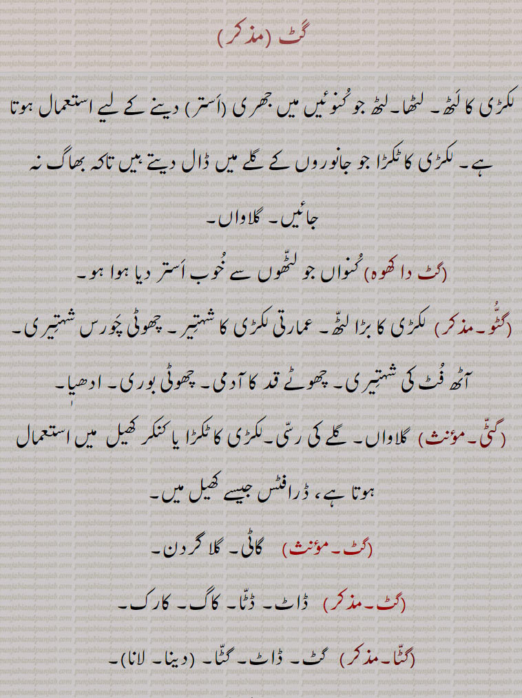 گٹ ,
لکڑی کا لٹھ۔ لٹھا۔لٹھ جو کنوئیں میں جھری (استر) دینے کے لیے استعمال ہوتا ہے۔ لکڑی کا ٹکڑا جو جانوروں کے گلے میں ڈال دیتے ہیں تاکہ بھاگ نہ جائیں۔ گلاواں,گٹ دا کھوہ, کنواں جو لٹھوں سے خوب استر دیا ہوا ہو,گٹو, لکڑی کا بڑا لٹھ۔ عمارتی لکڑی کا شہتیر۔ چھوٹی چورس شہتیری۔ آٹھ فٹ کی شہتیری۔ چھوٹے قد کا آدمی۔ چھوٹی بوری۔ ادھیٖا,گٹی,  گلاواں۔ گلے کی رسی۔لکڑی کا ٹکڑا یا کنکر کھیل  میں استعمال ہوتا ہے، ڈرافٹس جیسے کھیل میں,گٹ, گاٹی۔ گلا گردن,گٹ,ڈاٹ۔ ڈٹا۔ کاگ۔