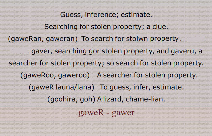 Guess, inference; estimate,Searching for stolen property, a clue,gaweRan, gaweran,,gaweRoo, gaweroo,ਗਵੇਰੂ ,gaweR launa,  ਗਵੇੜ ਲਾਉਣਾ,  To guess,goohira, goh,A lizard, chame-lian, ਗਵੇੜ  ,gawer, ਗਵੇਰ, ਗਵੇੜ, ਗਵੇਰਣ, gaweran,