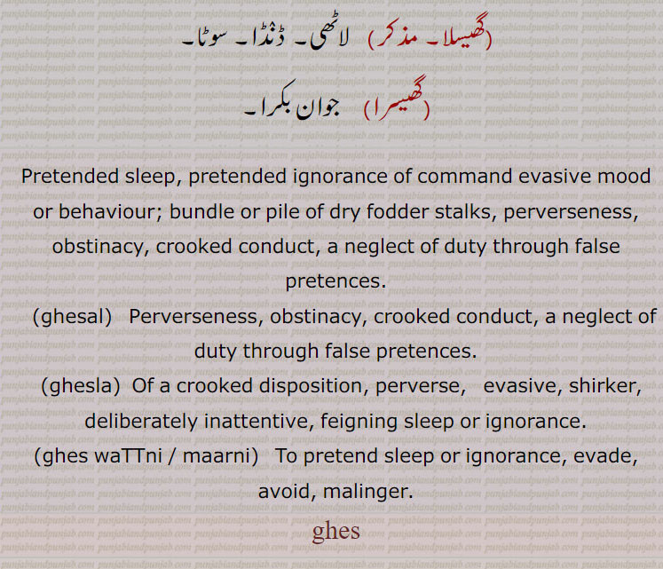 Pretended sleep, pretended ignorance of command evasive mood or behaviour; bundle or pile of dry fodder stalks, perverseness, obstinacy, crooked conduct, a neglect of duty through false pretences., ghesal,   Perverseness, obstinacy, crooked conduct, a neglect of duty through false pretences., ghesla,  Of a crooked disposition, perverse,   evasive, shirker, deliberately inattentive, feigning sleep or ignorance., ghes waTTni / maarni,   To pretend sleep or ignorance, evade, avoid, malinger. ghes ,  ਘੇਸ , ghesal, ਘੇਸਲ, ghesla, ਘੇਸਲਾ, ghes waTTni , maarni, ਘੇਸ ਵੱਟਣੀ, ghesla, ਘੇਸਲਾ, ਘੇਸਲ਼ਾ ,  
