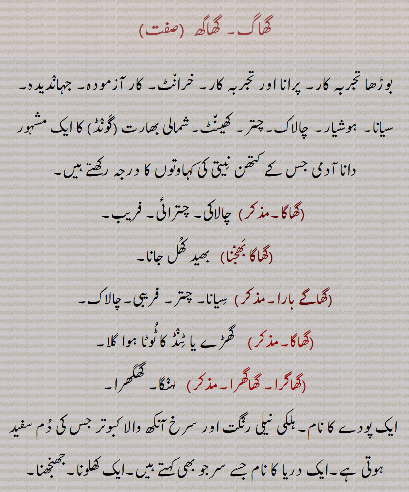 گھاگ۔ گھاگھ , بوڑھا تجربہ کار۔ پرانا اور تجربہ کار۔ خرانٹ۔ کار آزمودہ۔ جہاندیدہ,سیانا۔ ہوشیار۔ چالاک۔چتر۔ کھینٹ۔شمالی بھارت (گونڈ) کا ایک مشہور دانا آدمی جس کے کتھن نیتی کی کہاوتوں کا درجہ رکھتے ہیں,گھاگا, چالاکی۔ چترائی۔ فریب,گھاگا بھجنا,   بھید کھل جانا,گھاگے ہارا, سیانا۔ چتر۔ فریبی۔چالاک,گھاگا,  گھڑے یا ٹنڈ کا ٹوٹا ہوا گلا,گھاگرا۔ گھاگھرا,  لہنگا۔ گھگھرا,ایک پودے کا نام۔ہلکی نیلی رنگت اور سرخ آنکھ والا کبوتر جس کی دم سفید ہوتی ہے۔ایک دریا کا نام جسے سرجو بھی کہتے ہیں۔ایک کھلونا۔جھنجھنا,گھاگرا پلٹن۔ گھاگْرہ پلْٹن,  اسکاٹ لینڈ کے پہاڑی گوروں کی پلٹن جو ایک قسم کا گھاگرا پہنتی ہے۔ عورتوں کا مجمع,گھاگھر,   گاگر۔ جھجر۔ چھوٹا سا گھڑا,گھاگھری, چھوٹی ٹھلیا۔