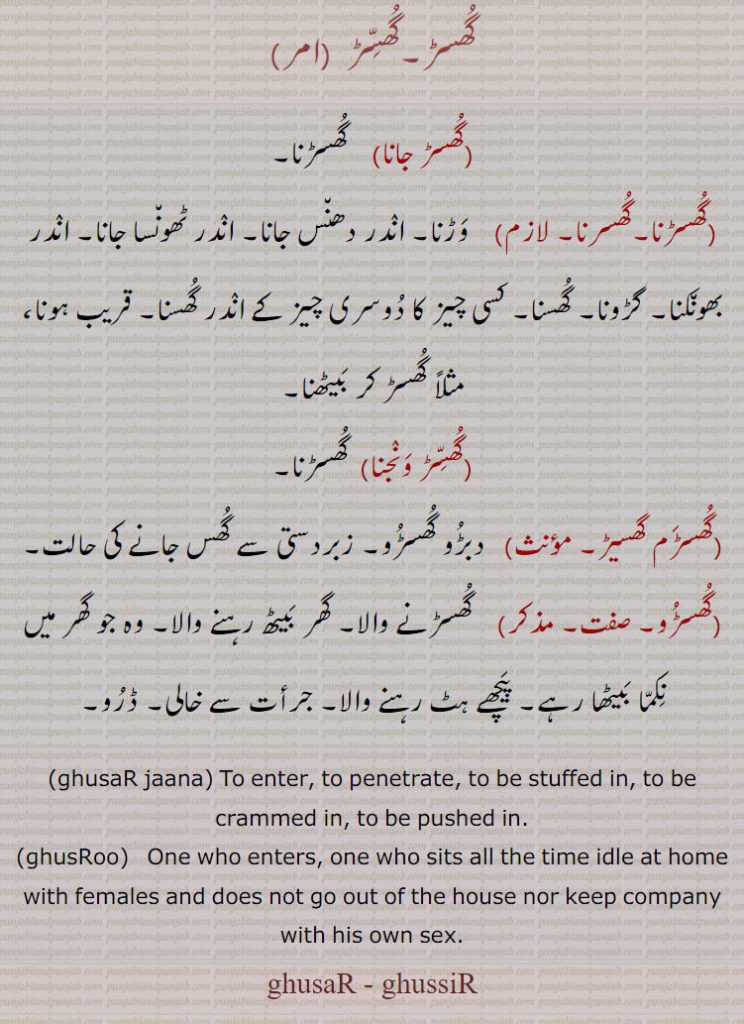 گھسڑ۔گھسڑ , گھسڑ جانا,  گھسڑنا, گھسڑنا۔گھسرنا,  وڑنا۔ اندر دھنس جانا۔ اندر ٹھونسا جانا۔ اندر بھونکنا۔ گڑونا۔ گھسنا۔ کسی چیز کا دوسری چیز کے اندر گھسنا۔ قریب ہونا، مثلاً گھسڑ کر بیٹھنا, گھسڑ ونجنا,  گھسڑنا, گھسڑم گھسیڑ,دبڑو گھسڑو۔ زبردستی سے گھس جانے کی حالت, گھسڑو,  گھسڑنے والا۔ گھر بیٹھ رہنے والا۔ وہ جو گھر میں نکما بیٹھا رہے۔ پیچھے ہٹ رہنے والا۔ جرأت سے خالی۔ ڈرو۔
 ghusaR jaana, To enter, to penetrate, to be stuffed in, to be crammed in, to be pushed in., ghusRoo,   One who enters, one who sits all the time idle at home with females and does not go out of the house nor keep company with his own sex.
ghusaR - ghussiR، ghisarna, ghisaRna ,  ਘਿਸਰਨਾ, گھسر, گھسڑ,گھسر مسر ,گھسرانا, گھسرنا ,گھسڑنا ,گھسروانا,ghasar , ghasaR ,ਘਸਰ, ghasarna, ਘਸਰਨਾ, ghasar masar, گھسرگھسر ,گھسر مسر, ghusar musar, ਘੁਸਰ ਮੁਸਰ, ghusar ghusar, ਘੁਸਰ ਘੁਸਰ,  گھسڑ,گھسڑ,گھسڑ جانا,گھسڑنا,گھسرنا,گھسڑ ونجنا ,گھڑم گھسیڑ ,گھسڑو,ghusar, ghussir, ghusRoo, ਘੁਸਡ਼ੂ, ghusaṚ jaana, ਘੁਸਡ਼ ਜਾਣਾ,,