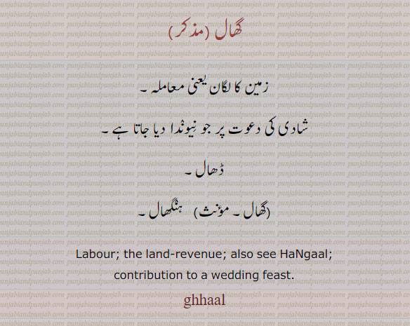 گھال, زمین کا لگان یعنی معاملہ۔, شادی کی دعوت پر جو نِیونٛدا دیا جاتا ہے,ڈھال,ہنٛگھال۔
Labour; the land-revenue; also see HaNgaal; contribution to a wedding feast., ghhaal,  ਘਾਲ,